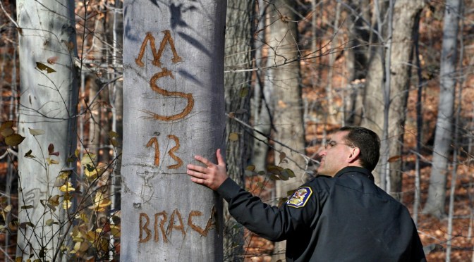 June 9th 2017: MS-13 Fact vs Fiction